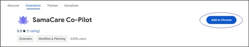CoPilot Chrome Store